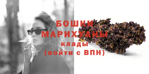 амф Богородск