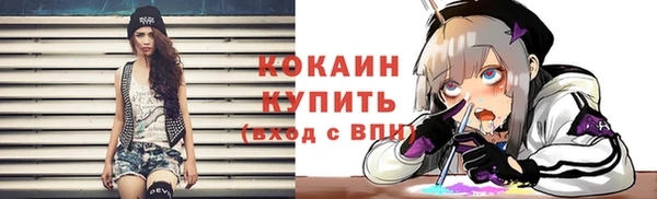 spice Богородицк