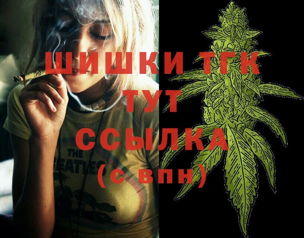 прущий лед Богданович