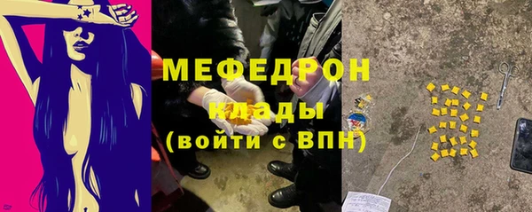 spice Богородицк