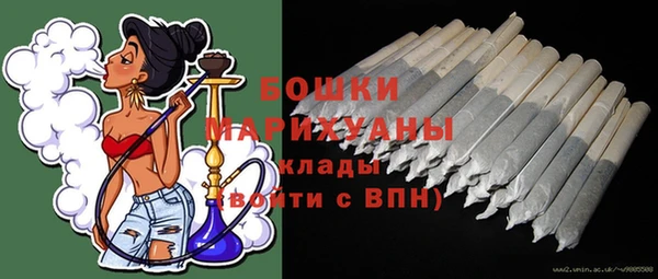 прущий лед Богданович
