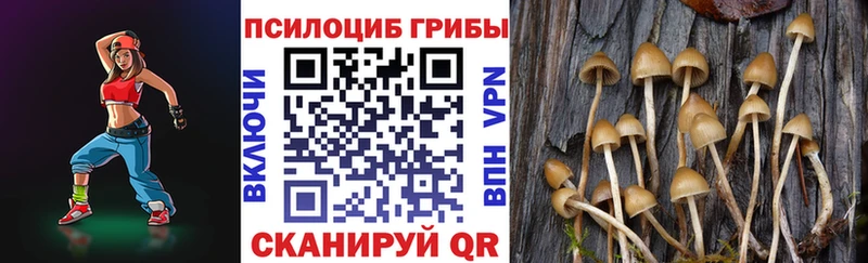 дарк нет наркотические препараты  Вичуга  Галлюциногенные грибы MAGIC MUSHROOMS 